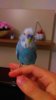 IMAG0108.jpg