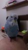 IMG-20180525-WA0017.jpeg