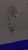 IMG-20180525-WA0027.jpeg