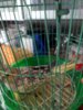 IMG-20180527-WA0006.jpg