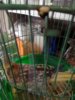 IMG-20180527-WA0001.jpg