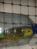 20180528_180555.jpg