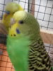 20180530_134920.jpg
