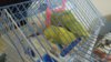 IMG-20180602-WA0037.jpg