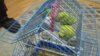 IMG-20180602-WA0035.jpg