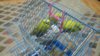 IMG-20180602-WA0034.jpg
