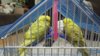 IMG-20180602-WA0033.jpg