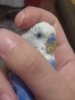 20180603_024848.jpg