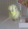 20180603_141731.jpg