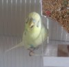 20180603_141641.jpg