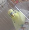 20180603_141547.jpg