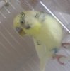 20180603_141540.jpg