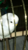 Screenshot_20180605-003415.png