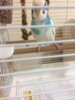 187F60BA-42B8-417B-B487-01DF99082E51.jpeg