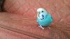 20180609_144055.jpg