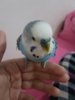 20180609_233503.jpg