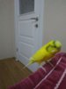 IMG_20180615_200249.jpg