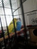 20180603_181635.jpg