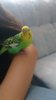 IMG-20180615-WA0024.jpeg