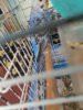20180618_160812.jpg