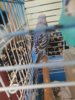 20180618_160814.jpg