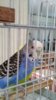 20180618_150515.jpg