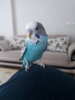 20180619_181331.jpg