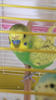 F61AEF5E-1667-46C0-8BA8-754268DD49AA.png