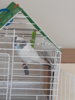 20180624_170020.jpg