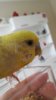 20180629_164144.jpg