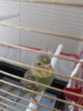 20180630_115618.jpg