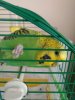 P_20180701_130812_vHDR_On.jpg