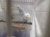 20180705_144626.jpg