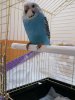 20180706_204859.jpg