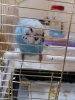 20180706_204627.jpg