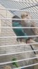 20180708_010223.jpg
