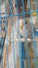 20180708_014414.jpg