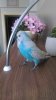 IMG-20180708-WA0009.jpeg
