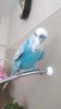 IMG-20180708-WA0011.jpeg
