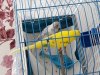 20180708_111542.jpg