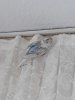 20180708_125435.jpg