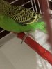 7EC25F01-1A25-40CF-AF4A-10D9337B9D2D.jpeg