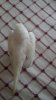 DSC_0092.JPG