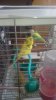 CCE2B0B0-B6F3-4A42-8500-6D7CEA0A89CC.jpeg