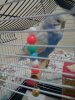 20180723_233546.jpg