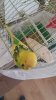 thumbnail_20180726_140838.jpg
