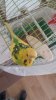 thumbnail_20180726_140839.jpg