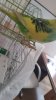 thumbnail_20180726_140848.jpg