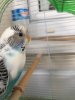 0B2E0EEA-07B5-4C52-AAE3-F700BD8508F8.jpeg