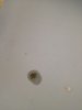 IMG-20180726-WA0003.jpg